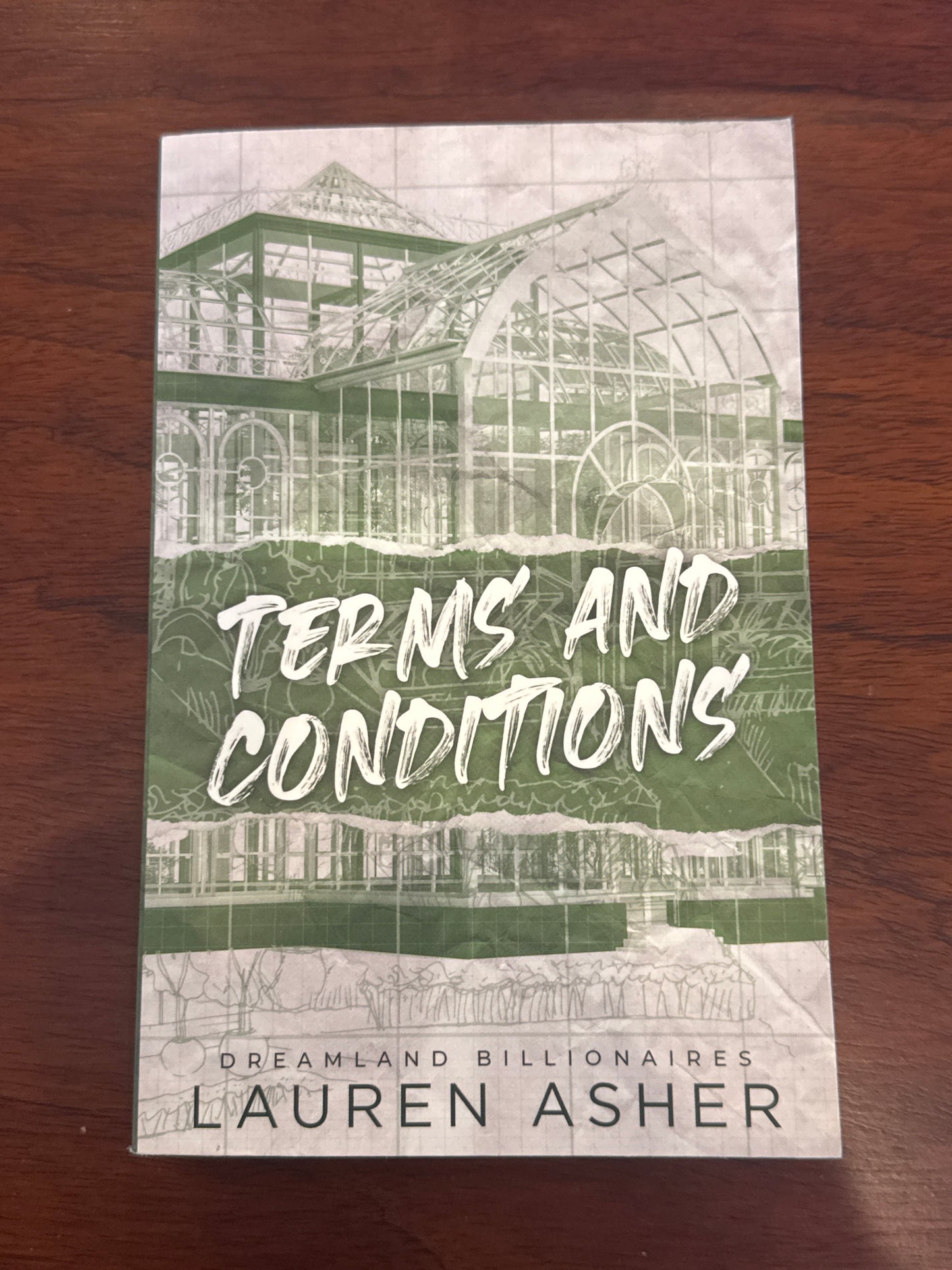 Terms and Conditions. Lauren Asher. 2022.