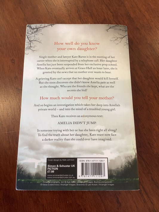 Reconstructing Amelia. Kimberly McCreight. 2013.