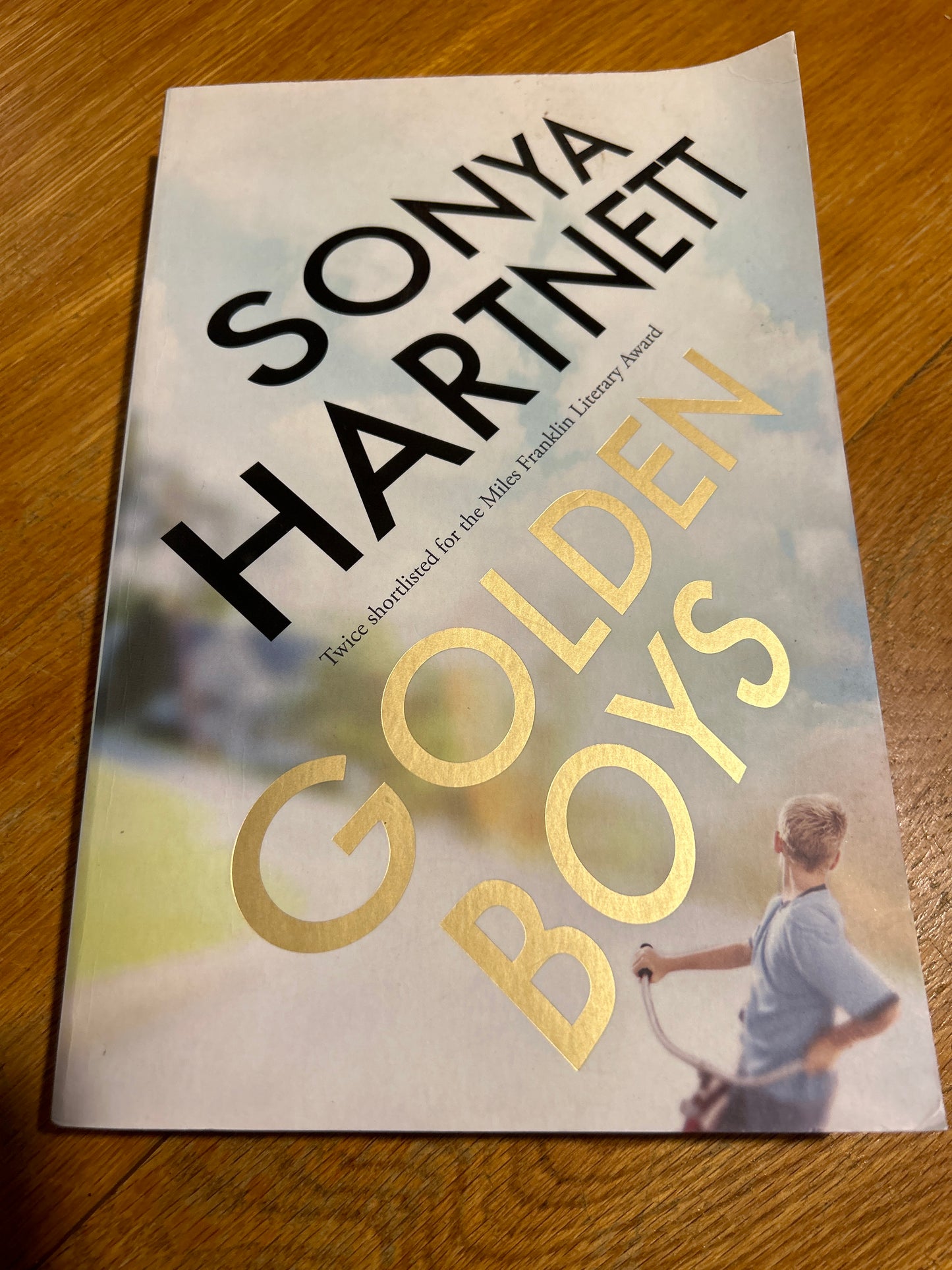 Golden boys. Sonya Hartnett. 2014.