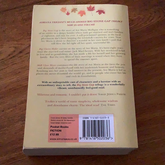 Big stone gap/Big cherry holler/Milk glass moon. Adriana Trigiani. 2004.