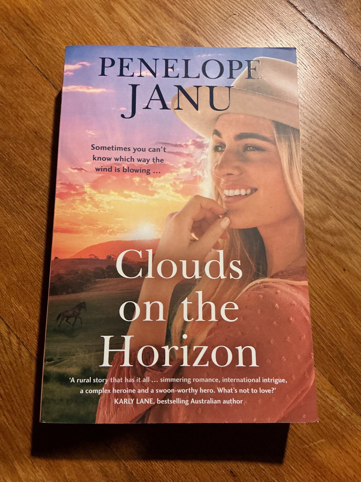 Clouds on the Horizon. Penelope Janu. 2022.