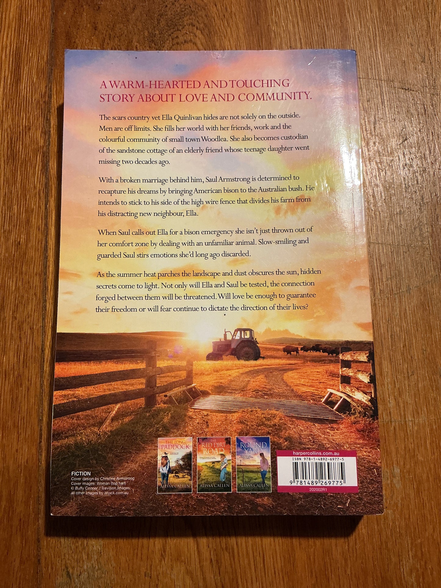 Boundary fence. Alissa Callen. 2020.