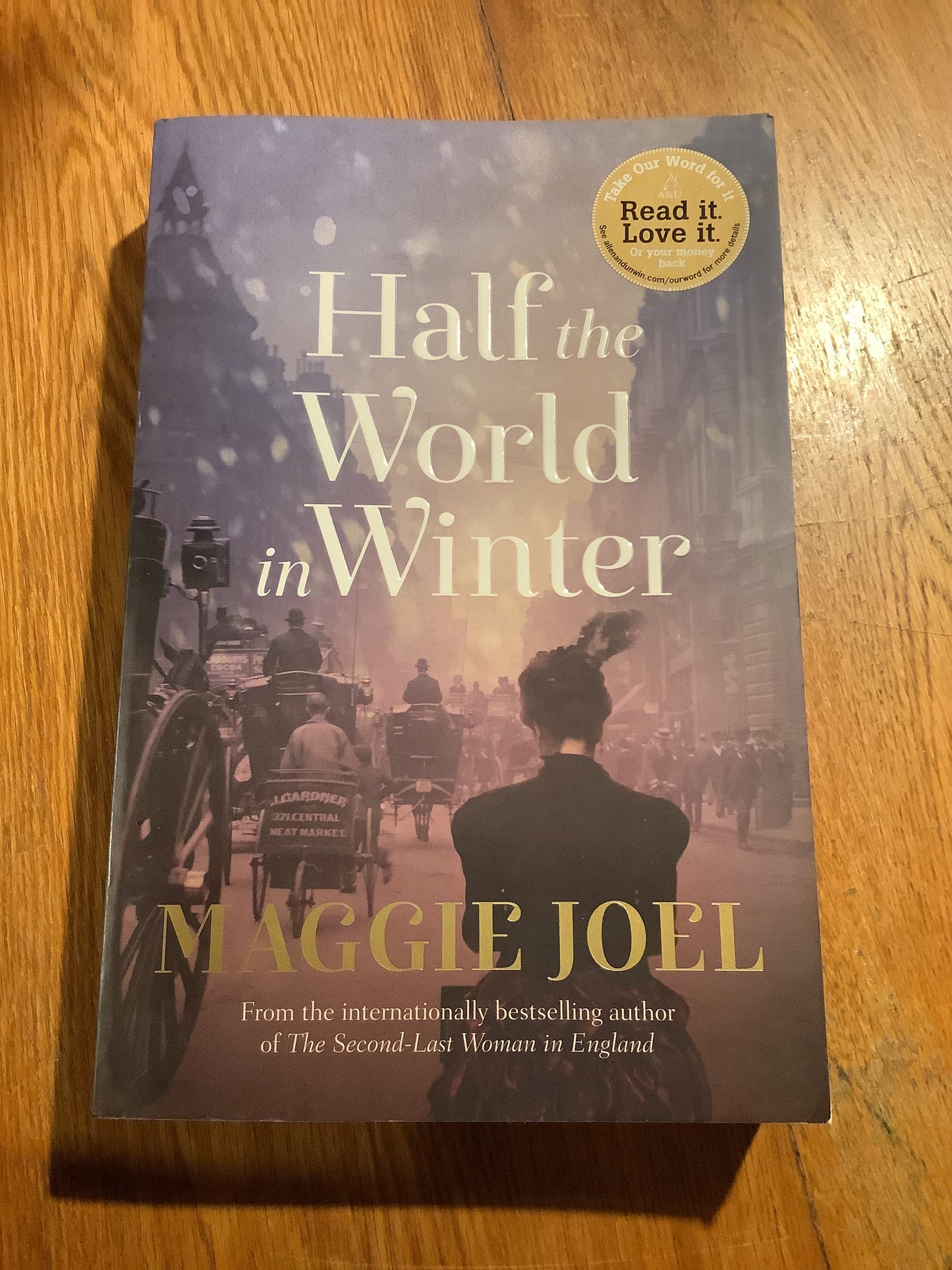 Half the world in winter. Maggie Joel. 2014.