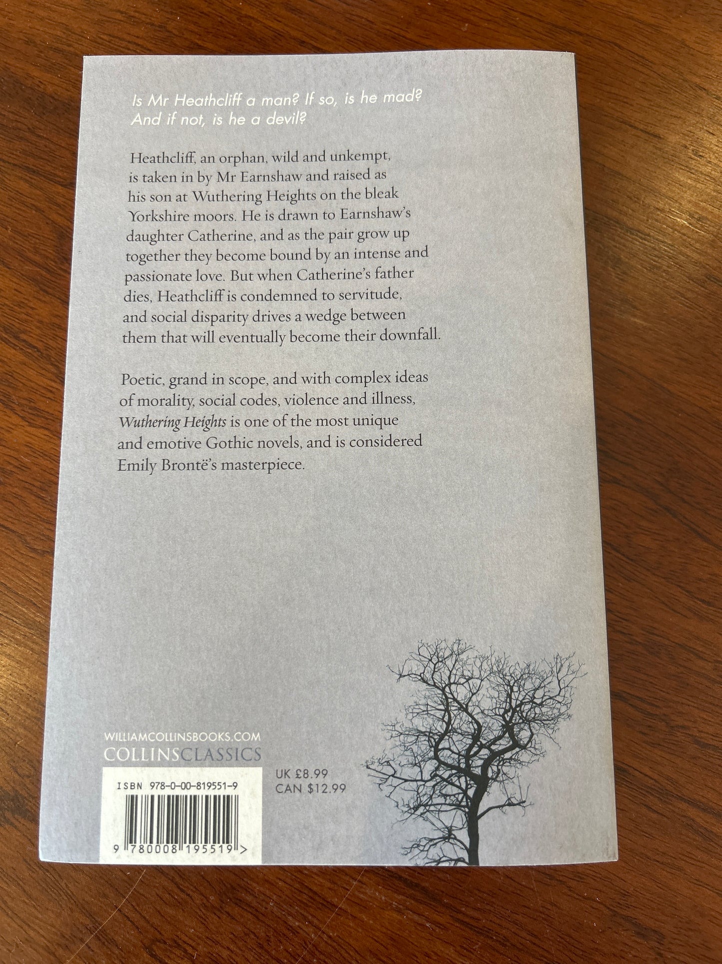 Wuthering heights. Emily Brontë. 2017.