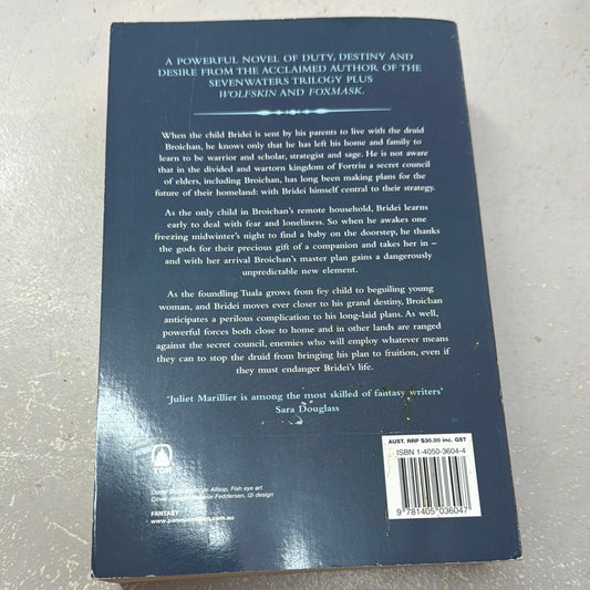 Dark mirror. Juliet Marillier. 2004.