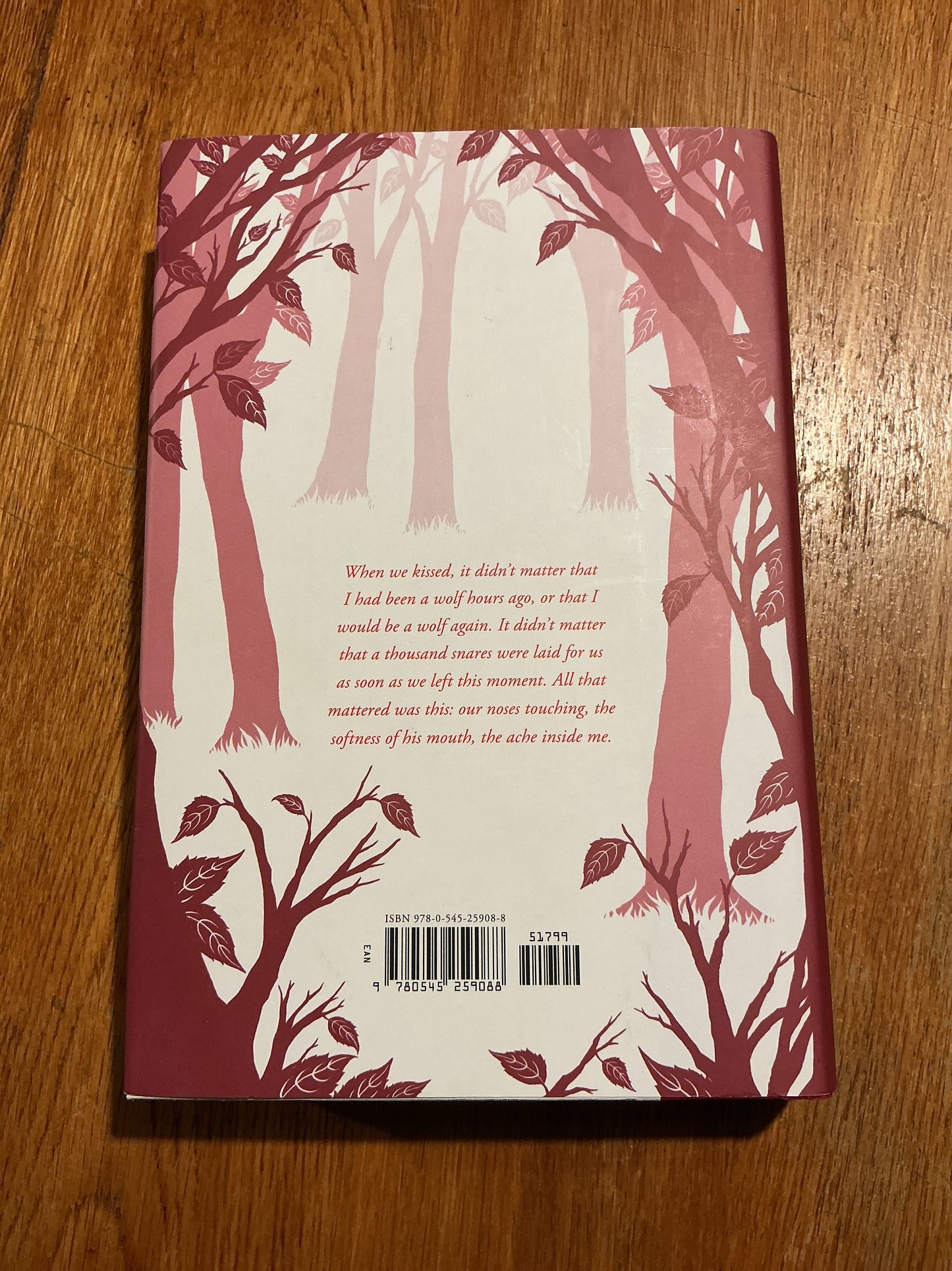 Forever. Maggie Stiefvater. 2011.