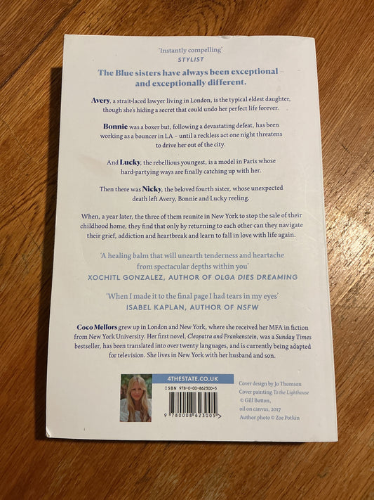 Blue sisters. Coco Mellors. 2024.