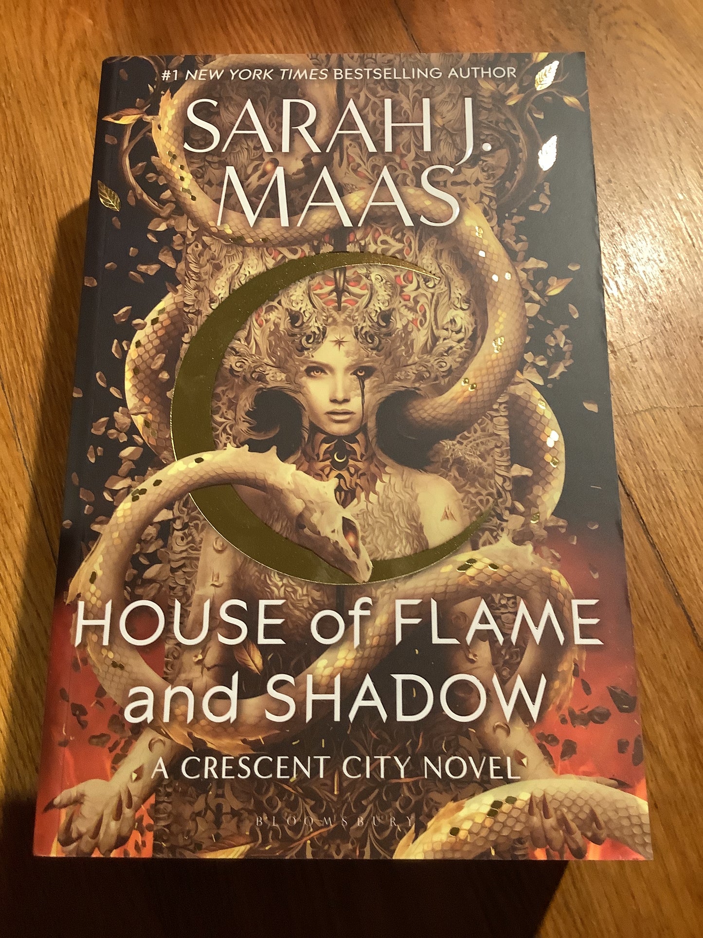 House of flame and shadow. Sarah J. Maas. 2024.