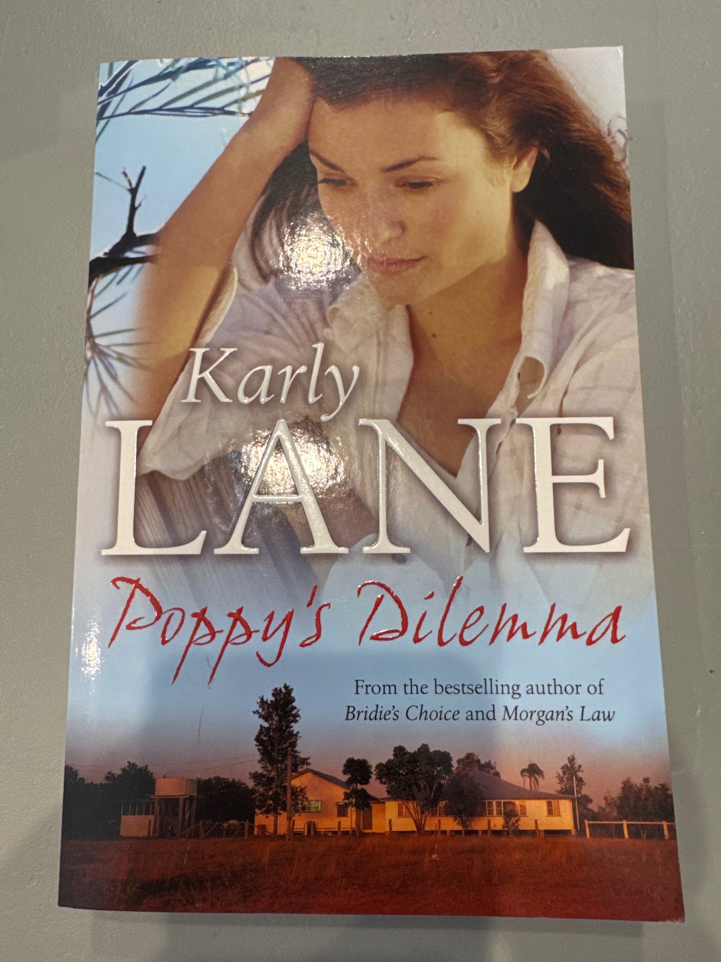 Poppy's dilemma. Karly Lane. 2014.