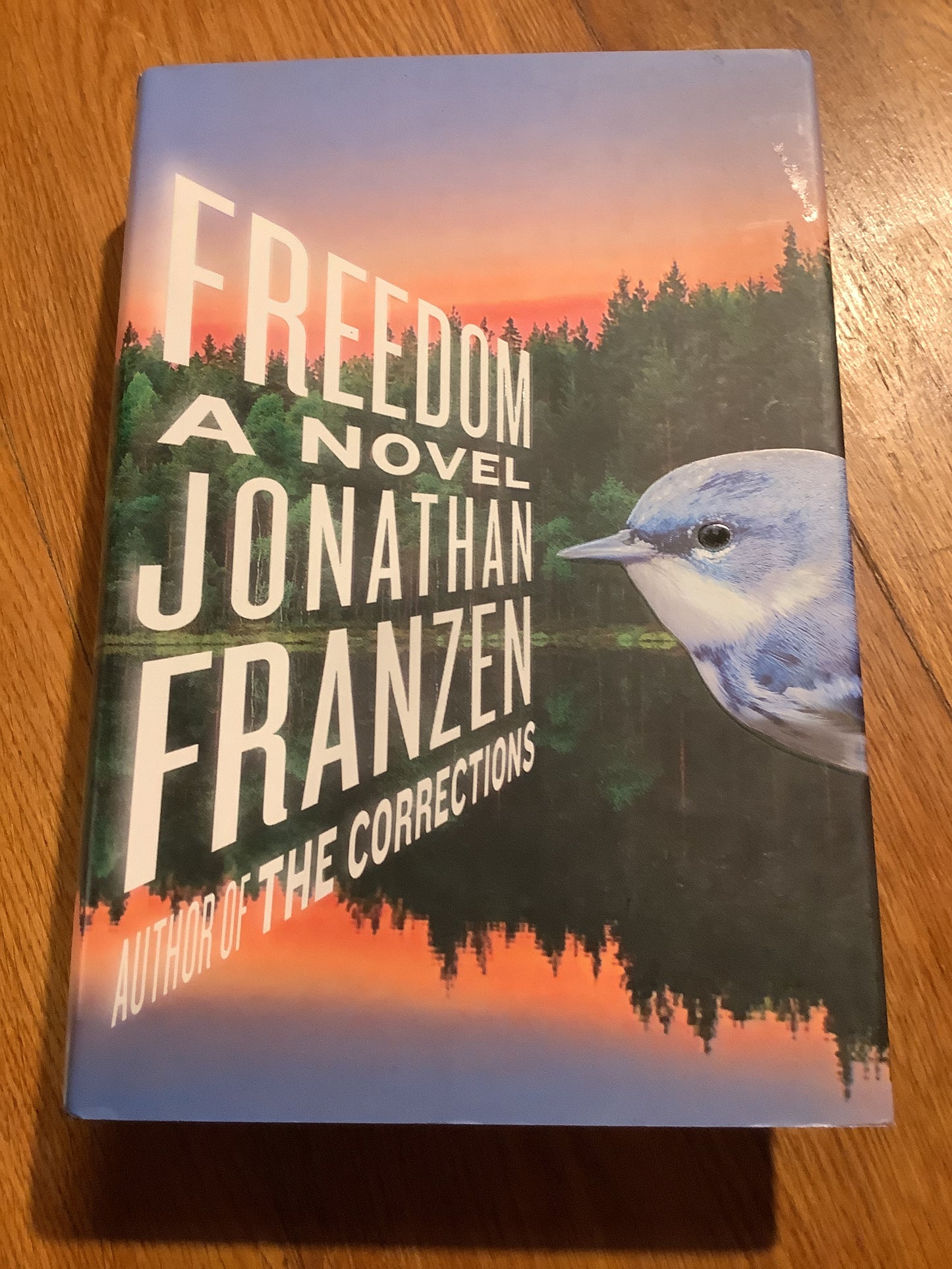 Freedom. Jonathan Franzen. 2010.
