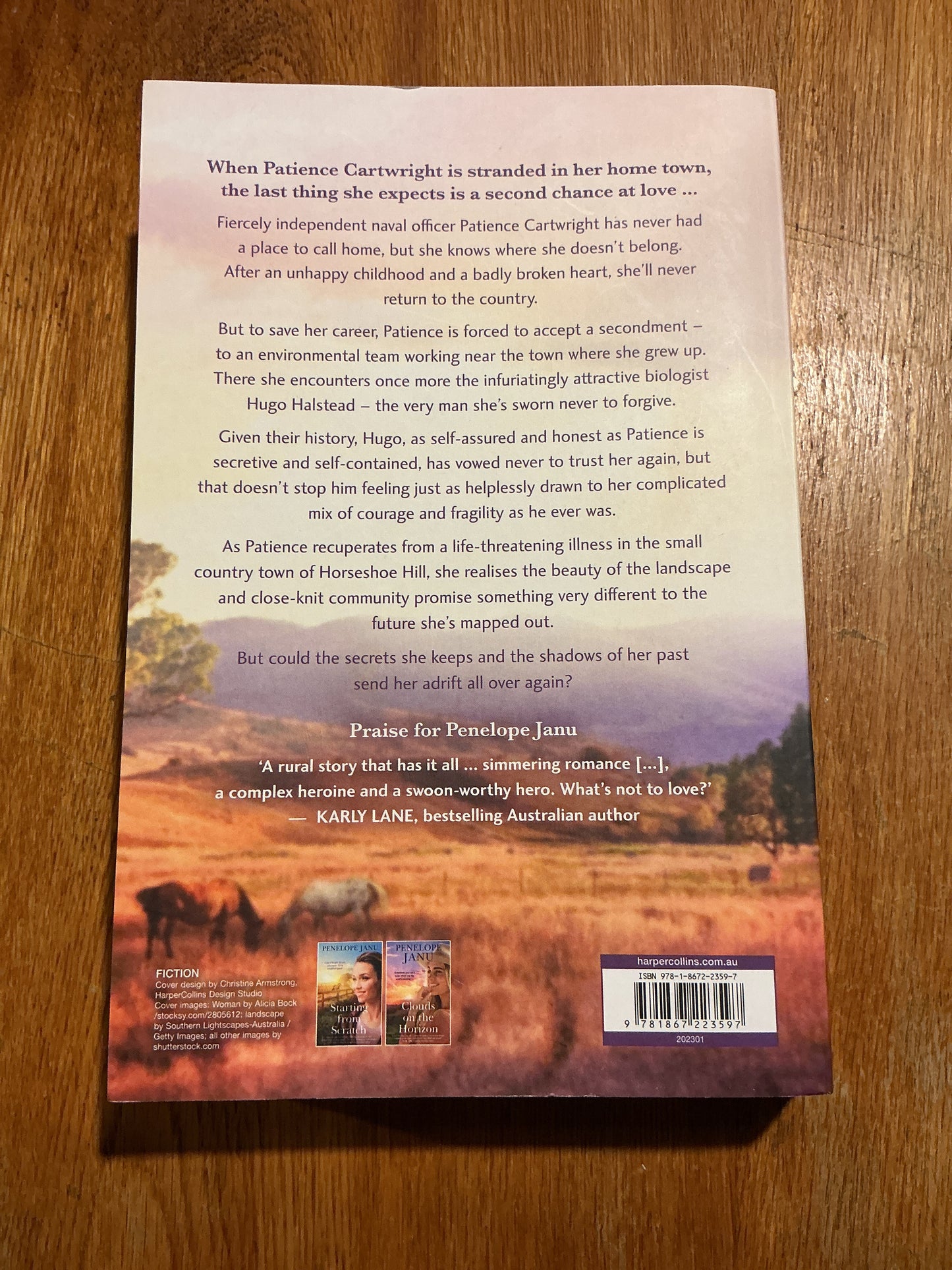 Shelter from the storm. Penelope Janu. 2023.