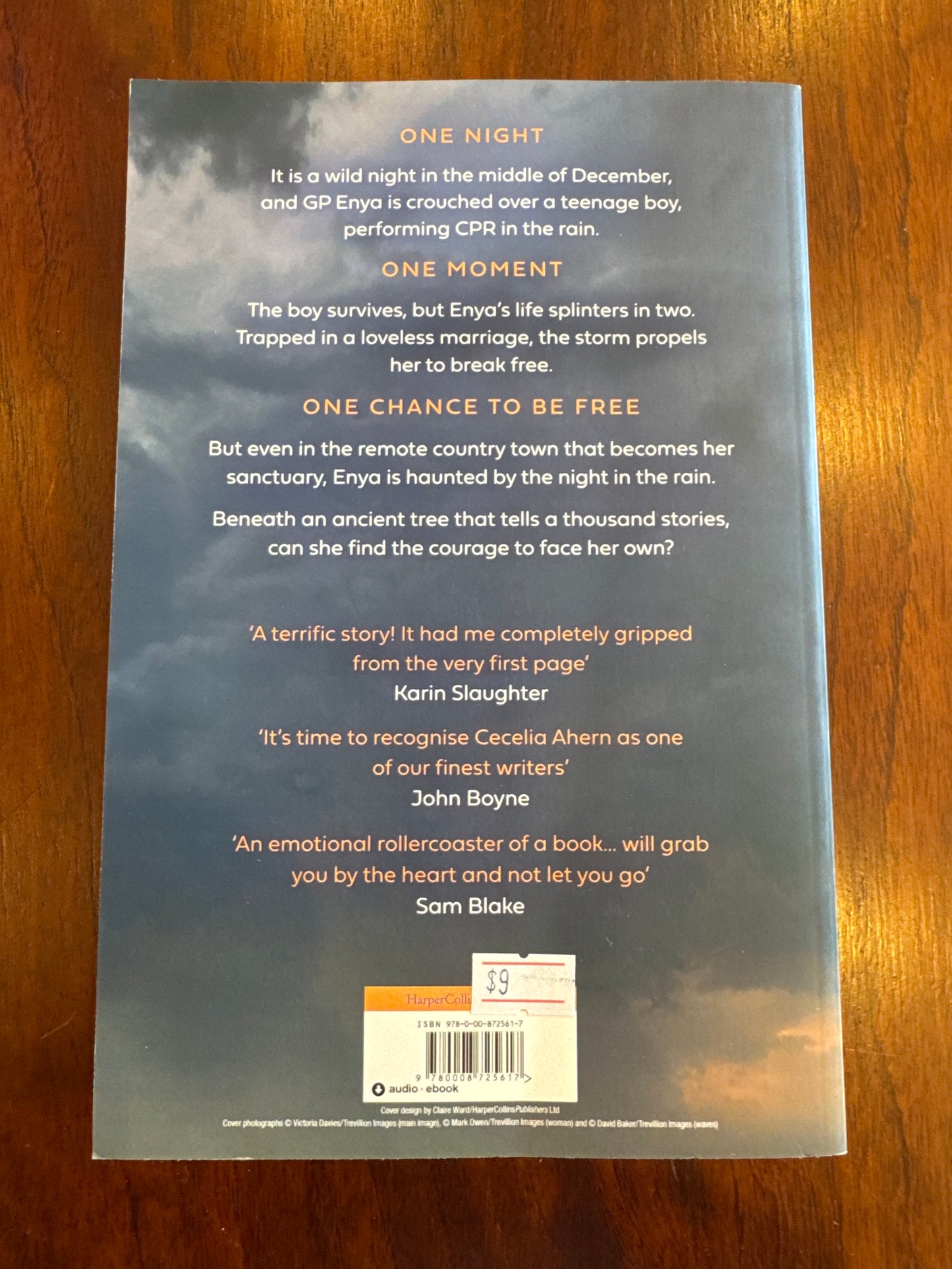 Into the Storm. Cecelia Ahern. 2024.