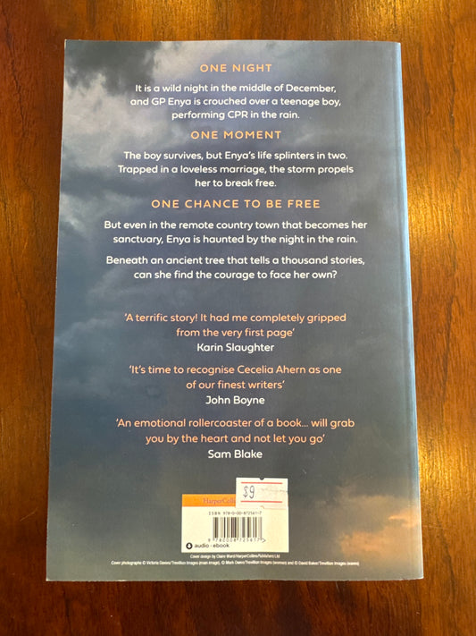 Into the Storm. Cecelia Ahern. 2024.