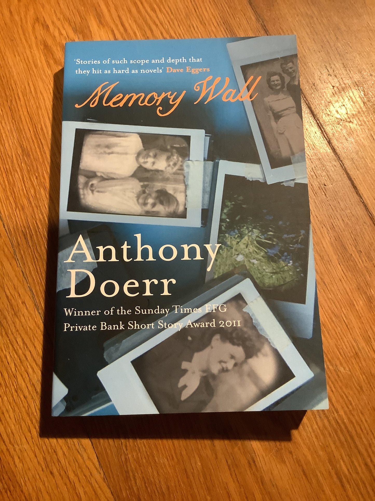Memory wall. Anthony Doerr. 2012.