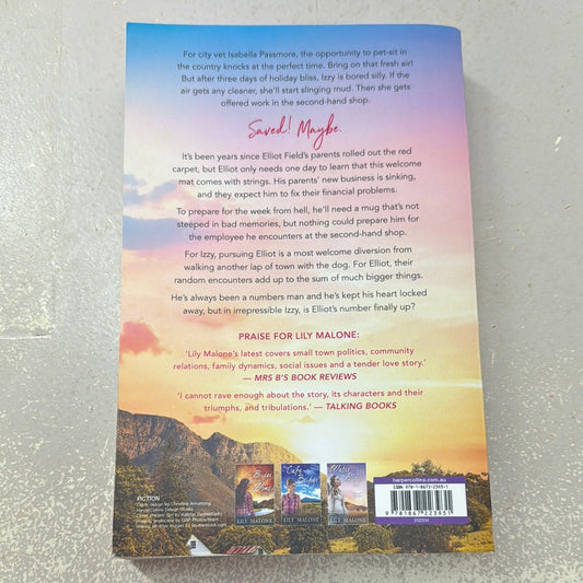 Vet’s country holiday. Lily Malone. 2022.