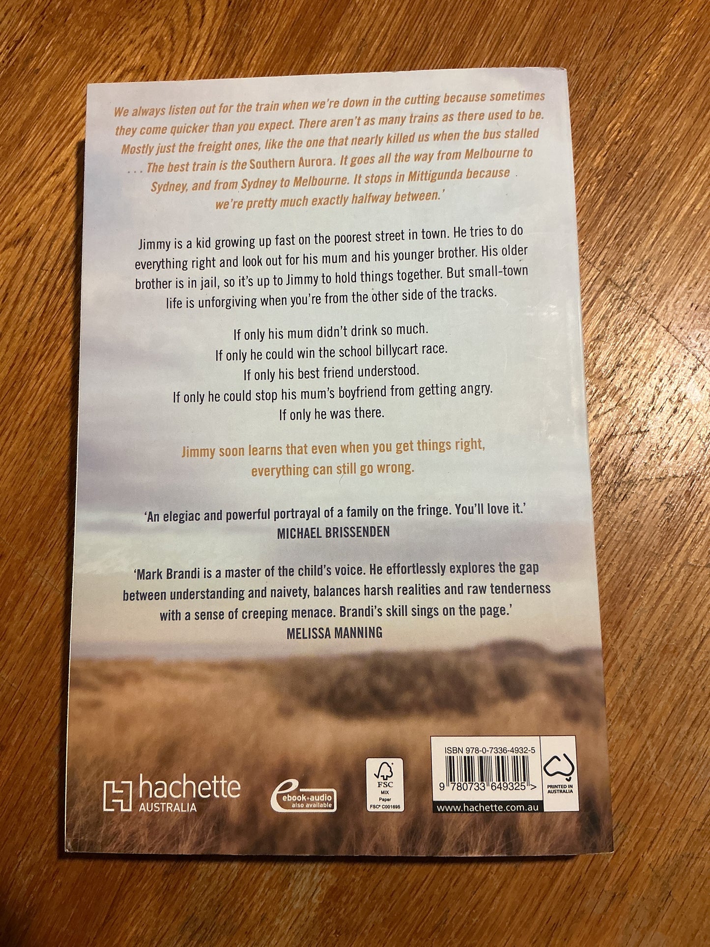 Southern Aurora. Mark Brandi. 2023.