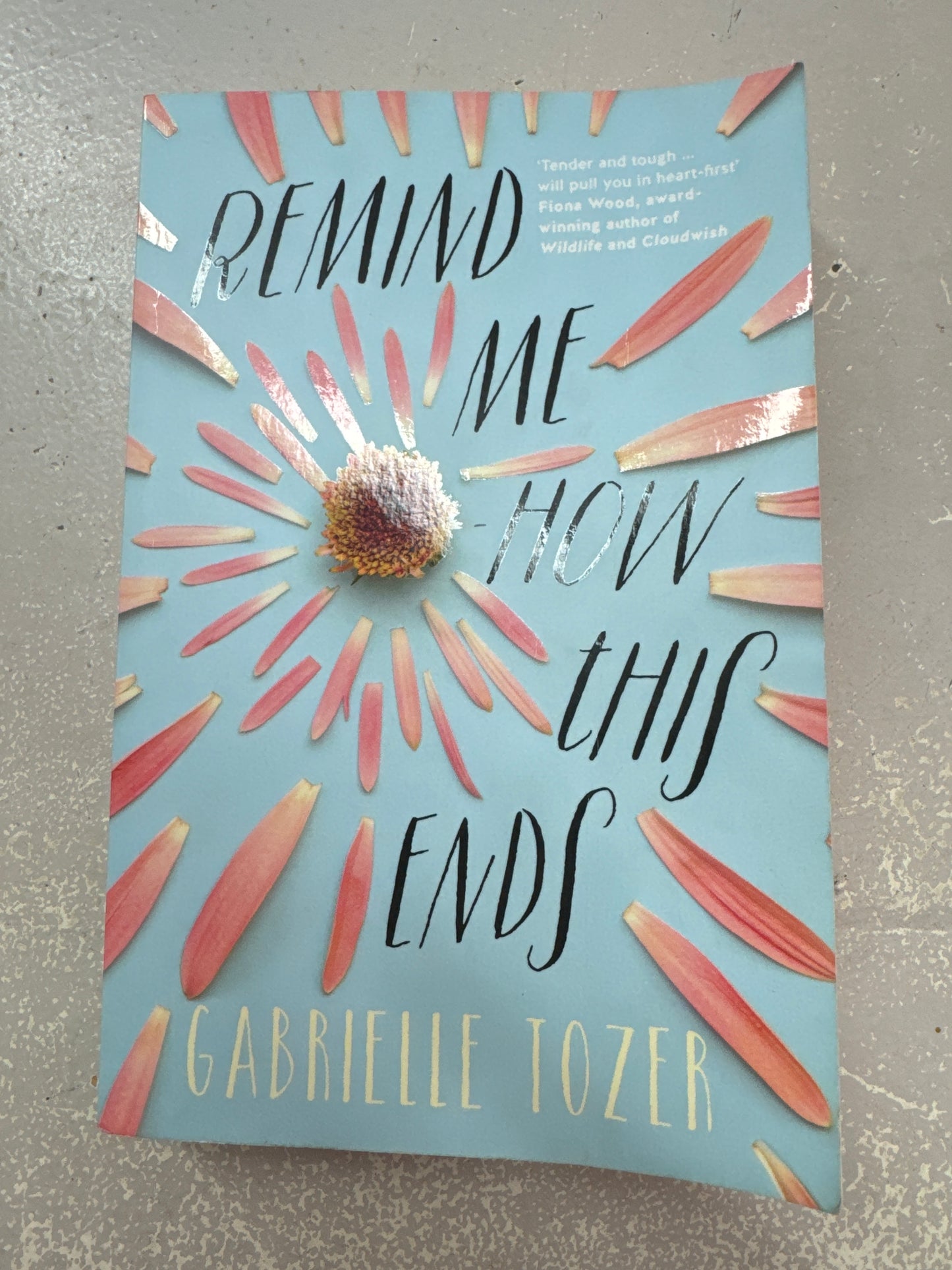 Remind me how this ends. Gabrielle Tozer. 2017.