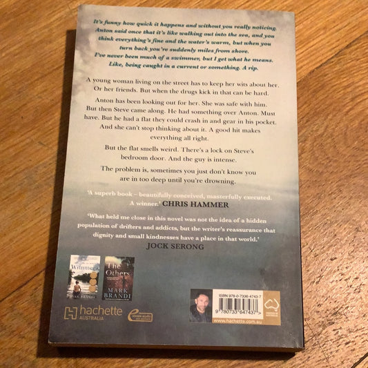 The Rip. Mark Brandi. 2019.