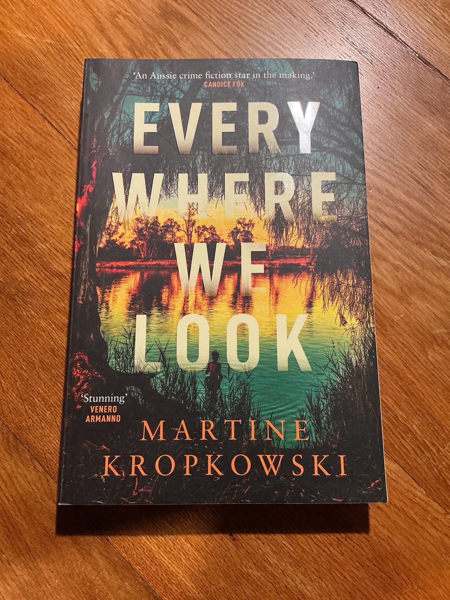 Every where we look. Martine Kropkowski. 2024.