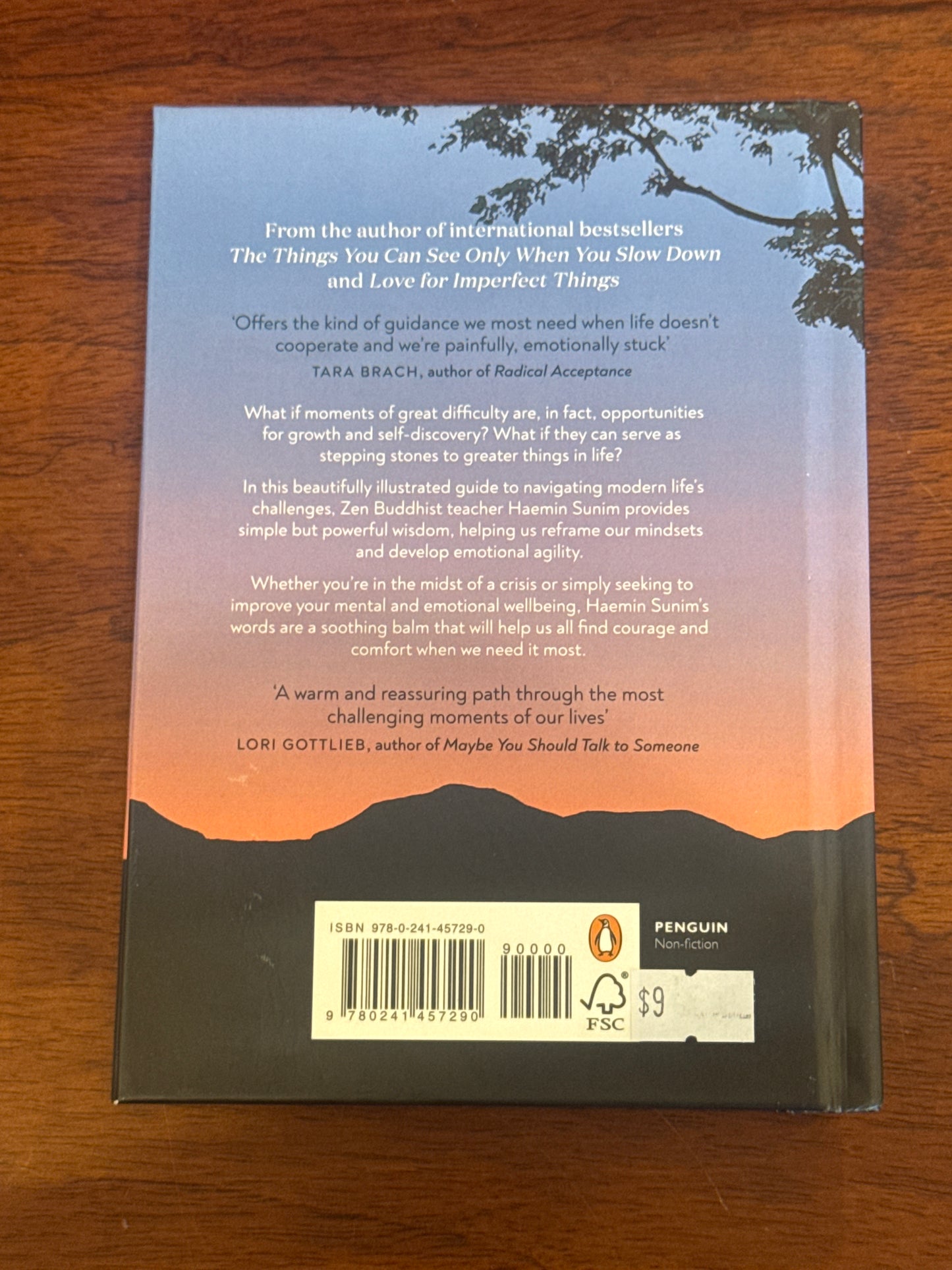 When Things Don’t Go Your Way. Haemin Sunim. 2024.