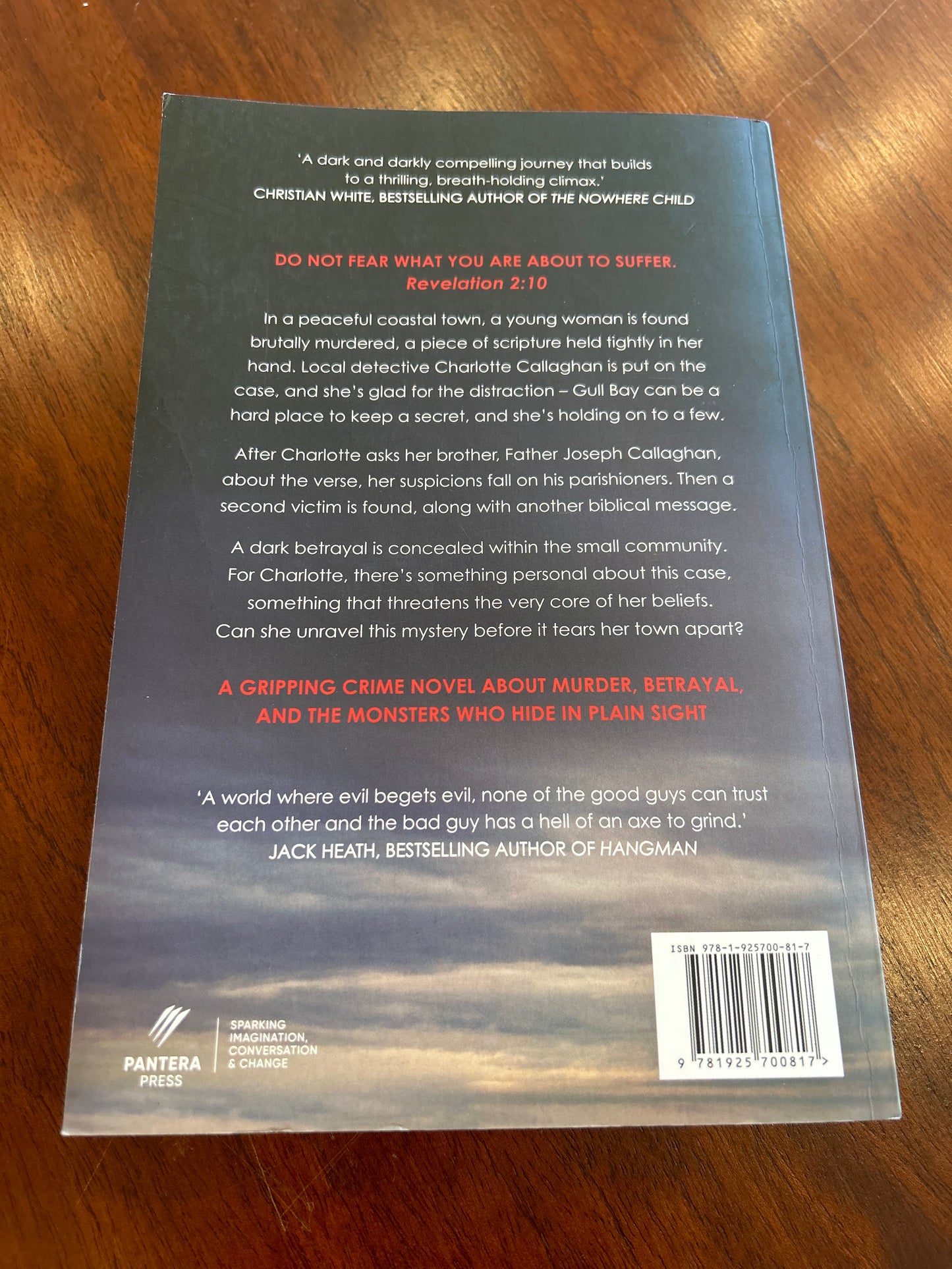 Devil inside. D. L. Hicks. 2020.