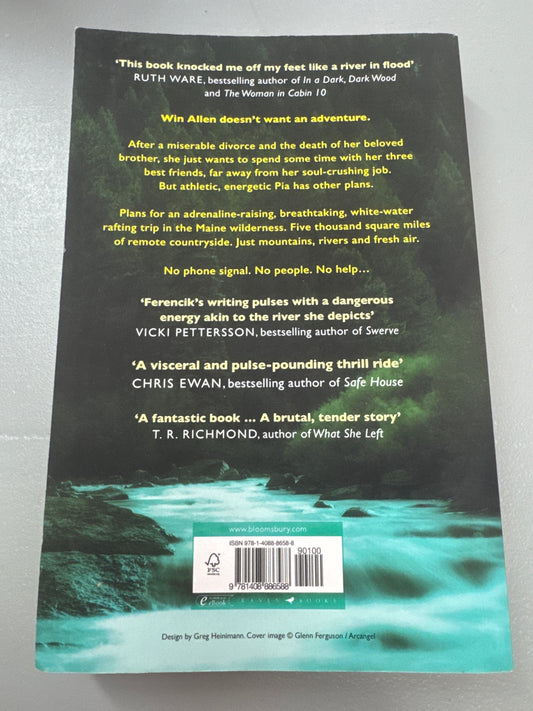 River at Night. Erica Ferenick. 2017.