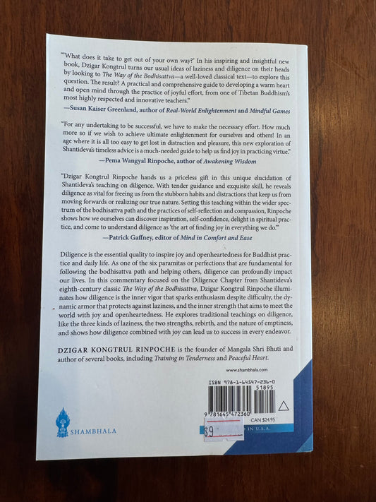 Diligence. Dzigar Kongtrul. 2024.