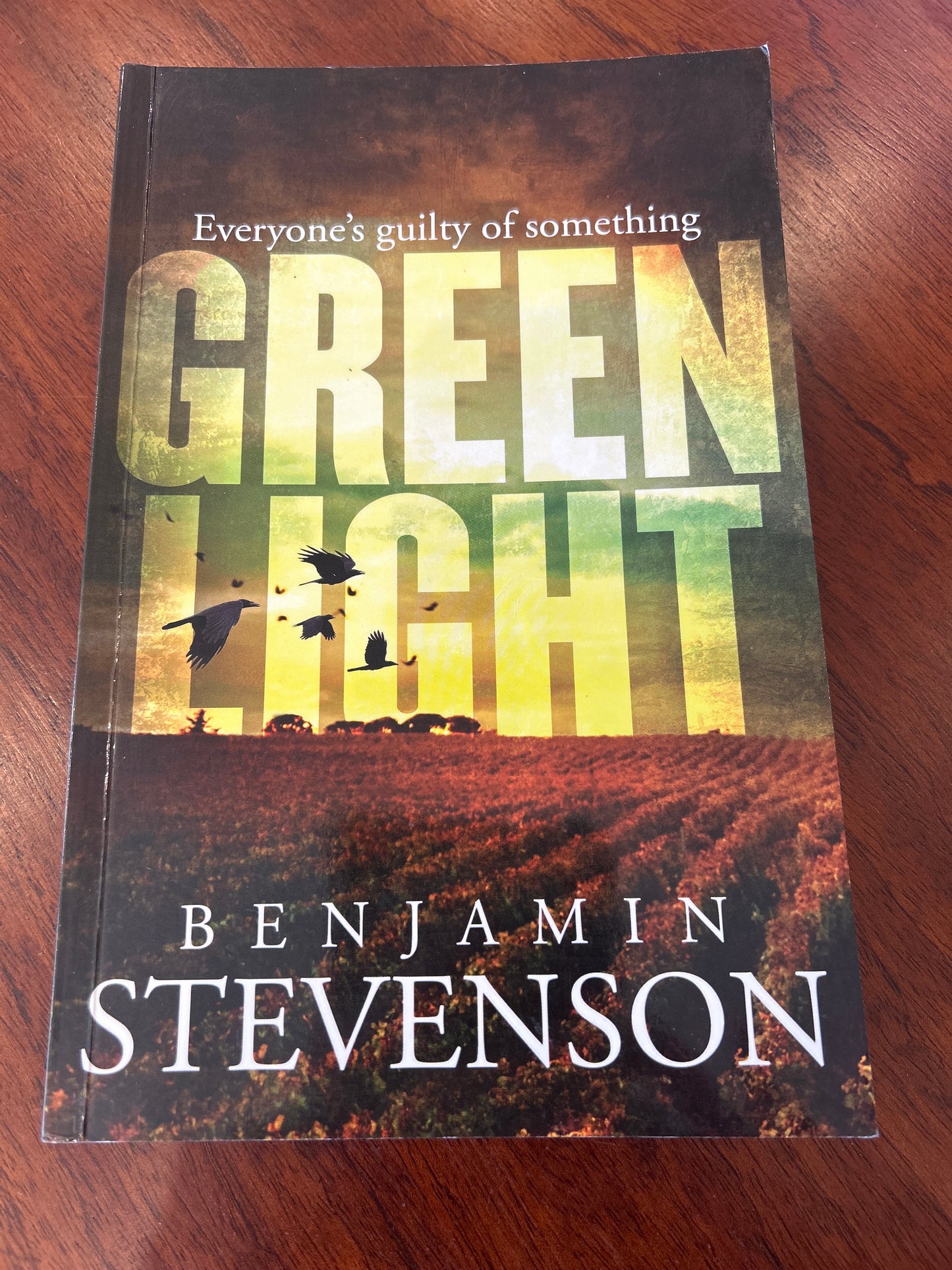 Greenlight. Benjamin Stevenson. 2020.
