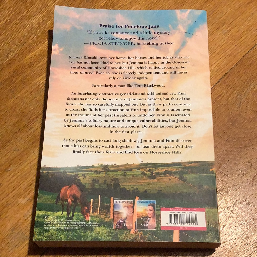 Up on Horseshoe Hill. Penelope Janu. 2021.