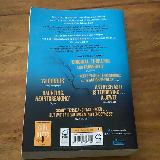 Fellside. M. R. Carey. 2016.