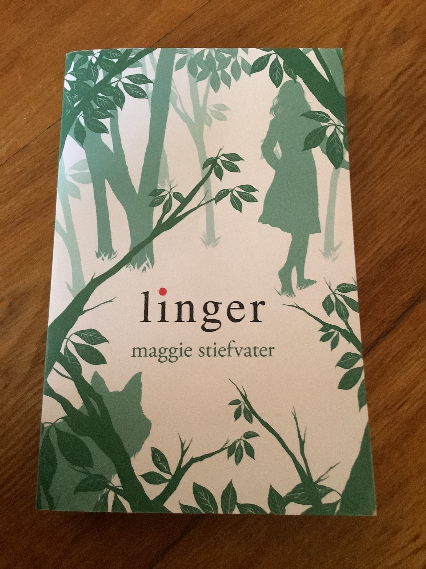 Linger. Maggie Stiefvater. 2011.