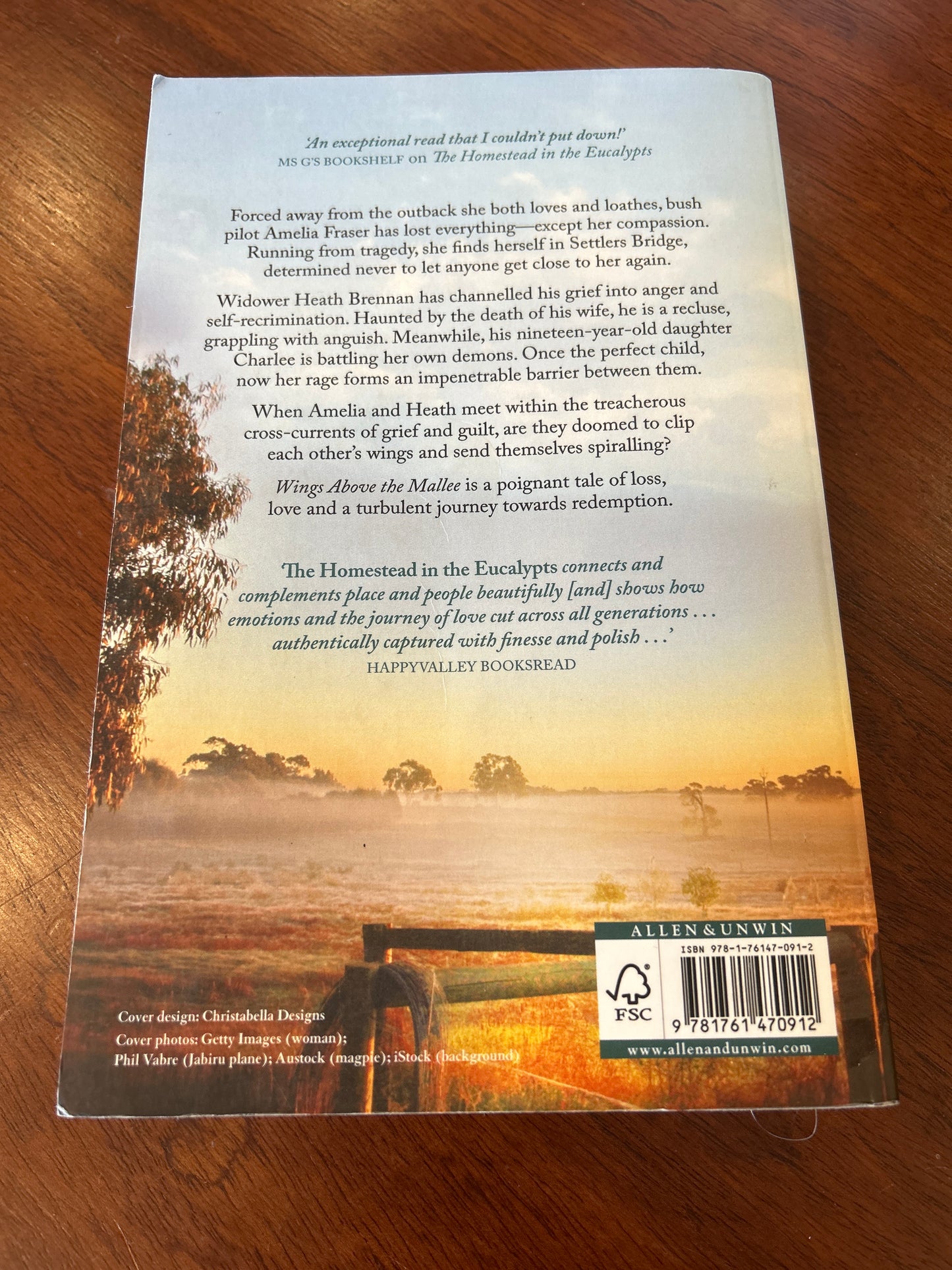 Wings above the Mallee. Léonie Kelsall. 2025.
