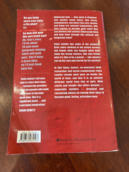 He’ll be ok: growing gorgeous boys into good men. Celia Lashlie. 2007.