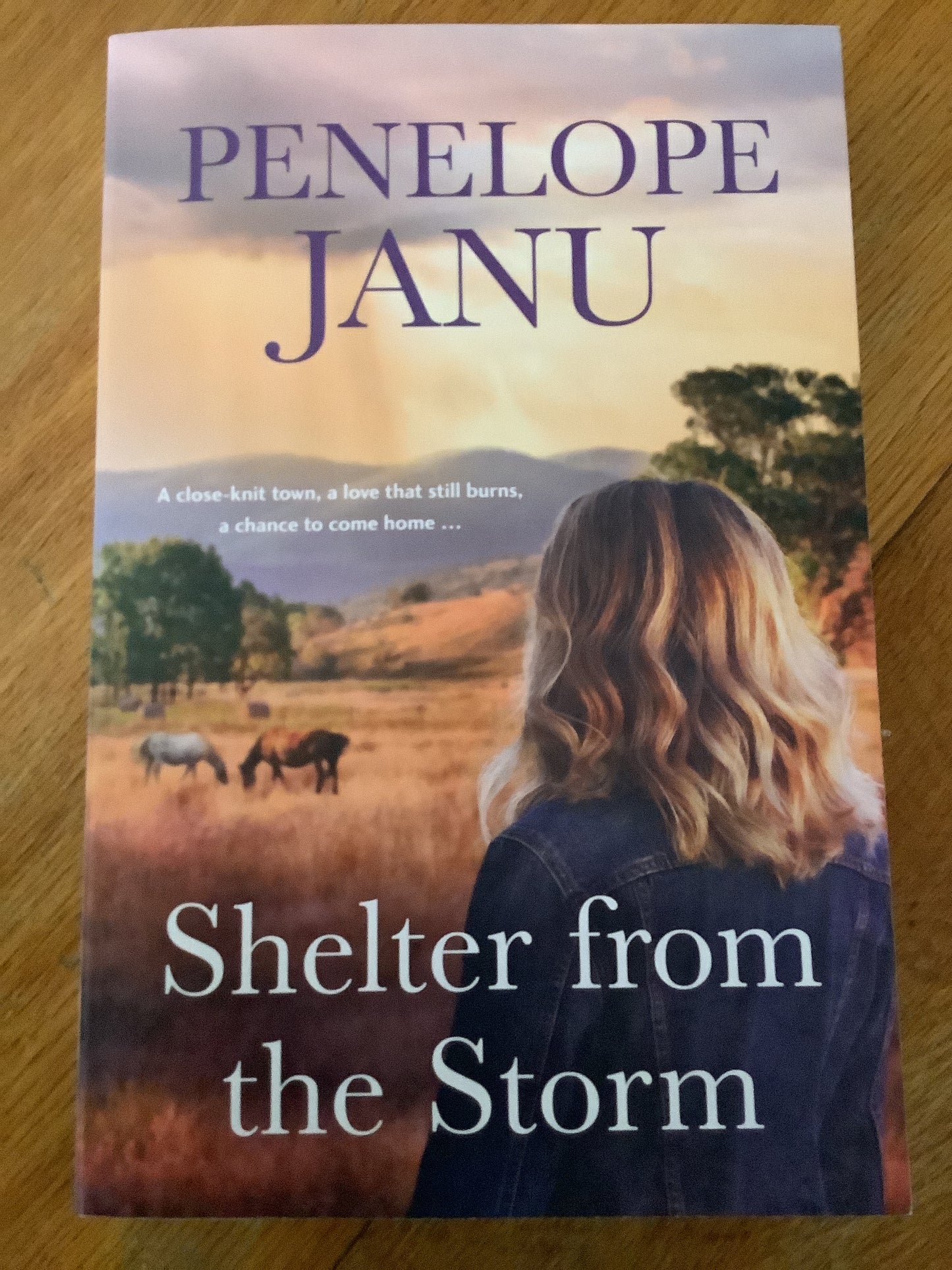 Shelter from the storm. Penelope Janu. 2024.