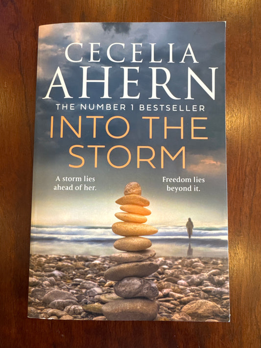 Into the Storm. Cecelia Ahern. 2024.