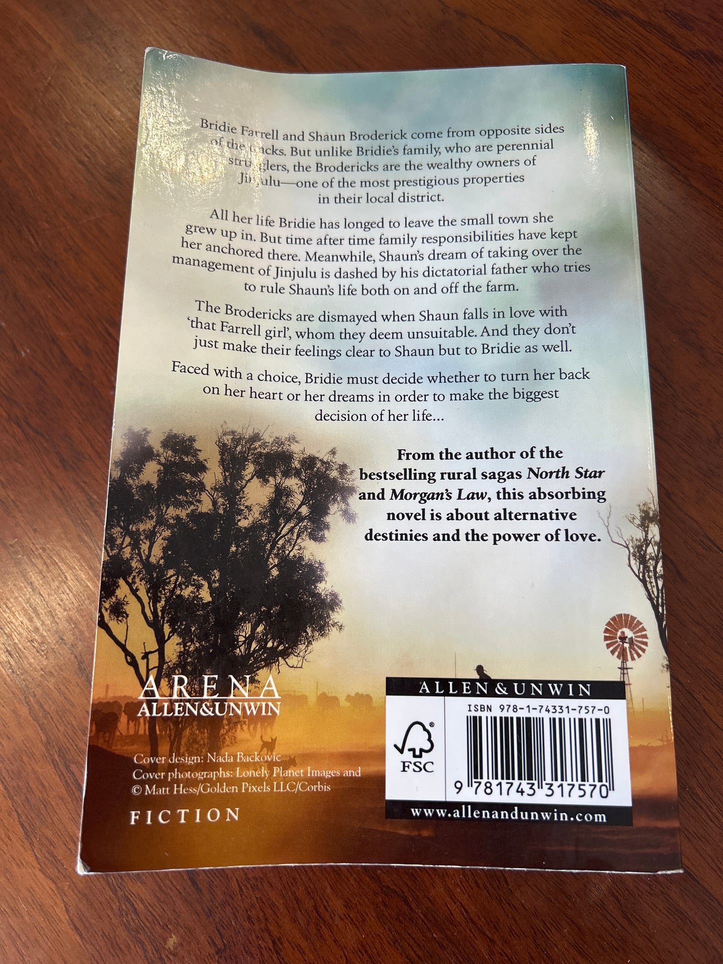 Bridie’s choice. Karly Lane. 2013.