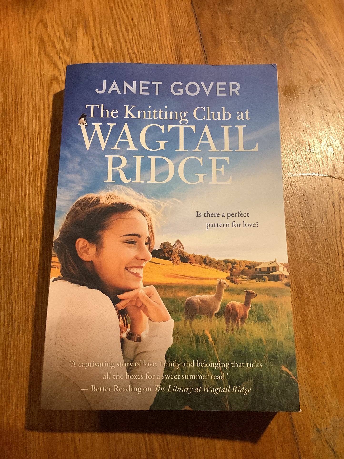 Knitting club at Wagtail Ridge. Janet Gover. 2025.