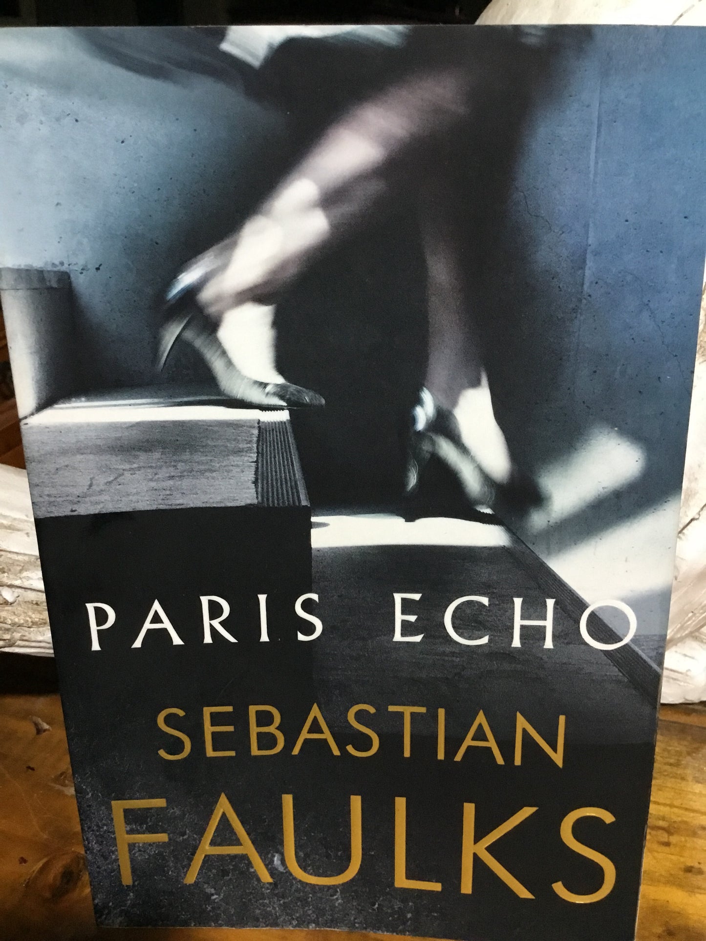 Paris echo (Faulks, Sebastian)(2018, paperback)
