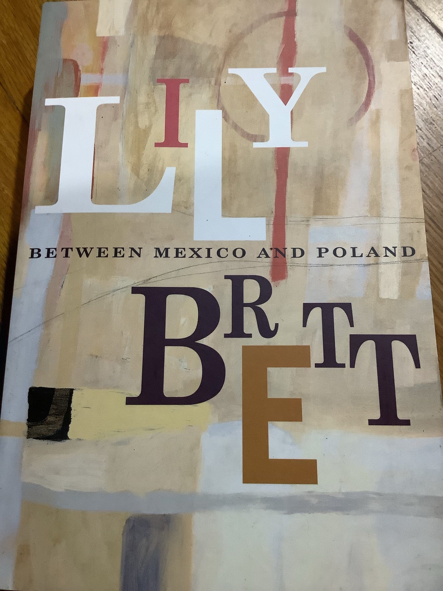 Between Mexico and Poland (Brett, Lily)(2002, paperback)