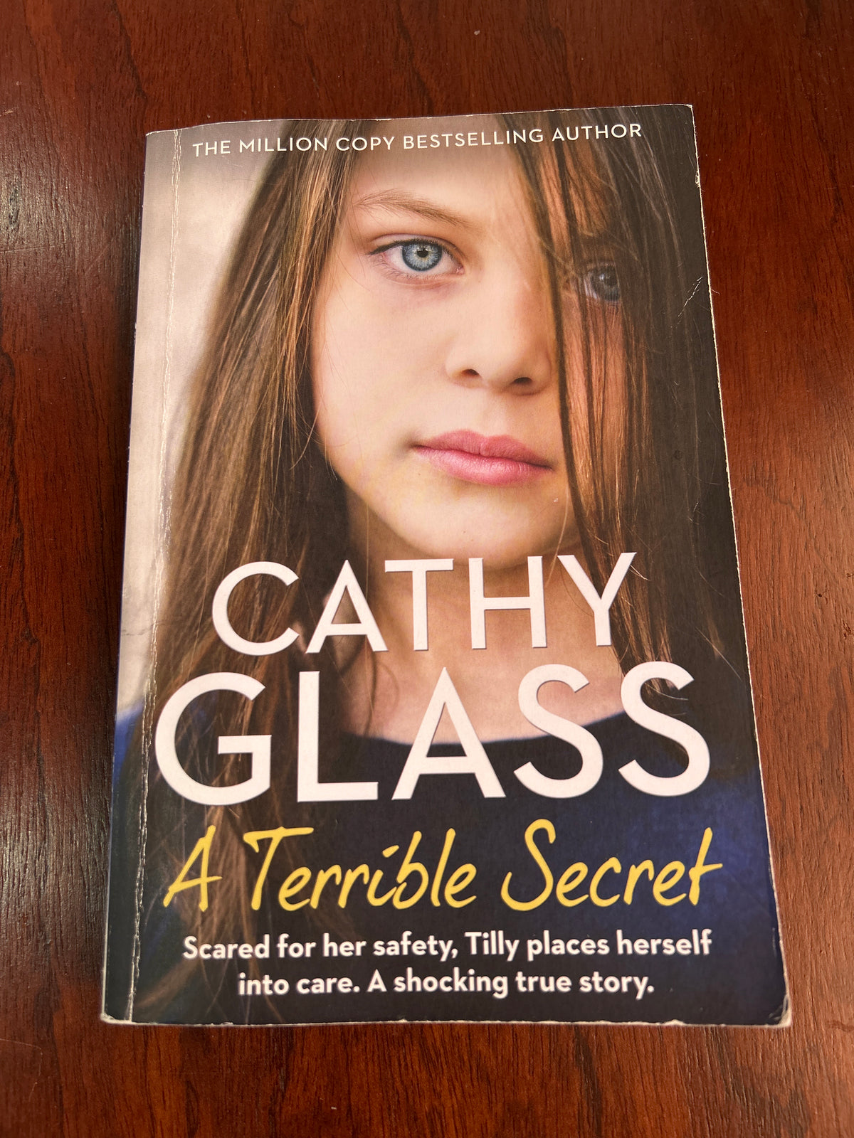 Terrible secret. Cathy Glass. 2020.