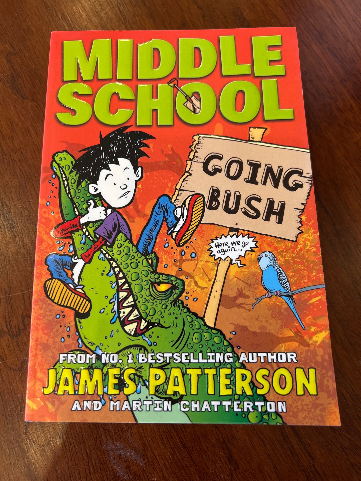 Middle school: going bush. James Patterson and Martin Chatterton. 2016.