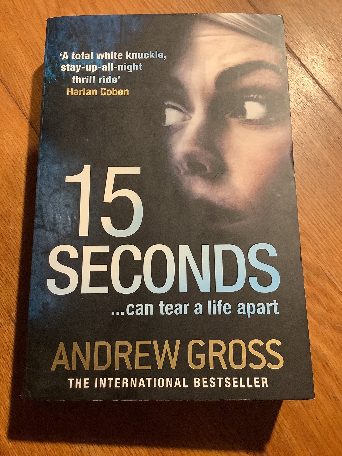 15 seconds. Andrew Gross. 2012.