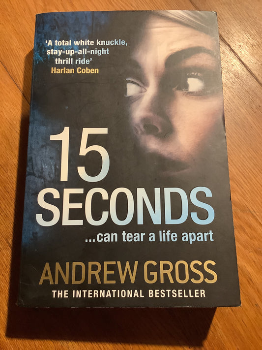 15 seconds. Andrew Gross. 2012.