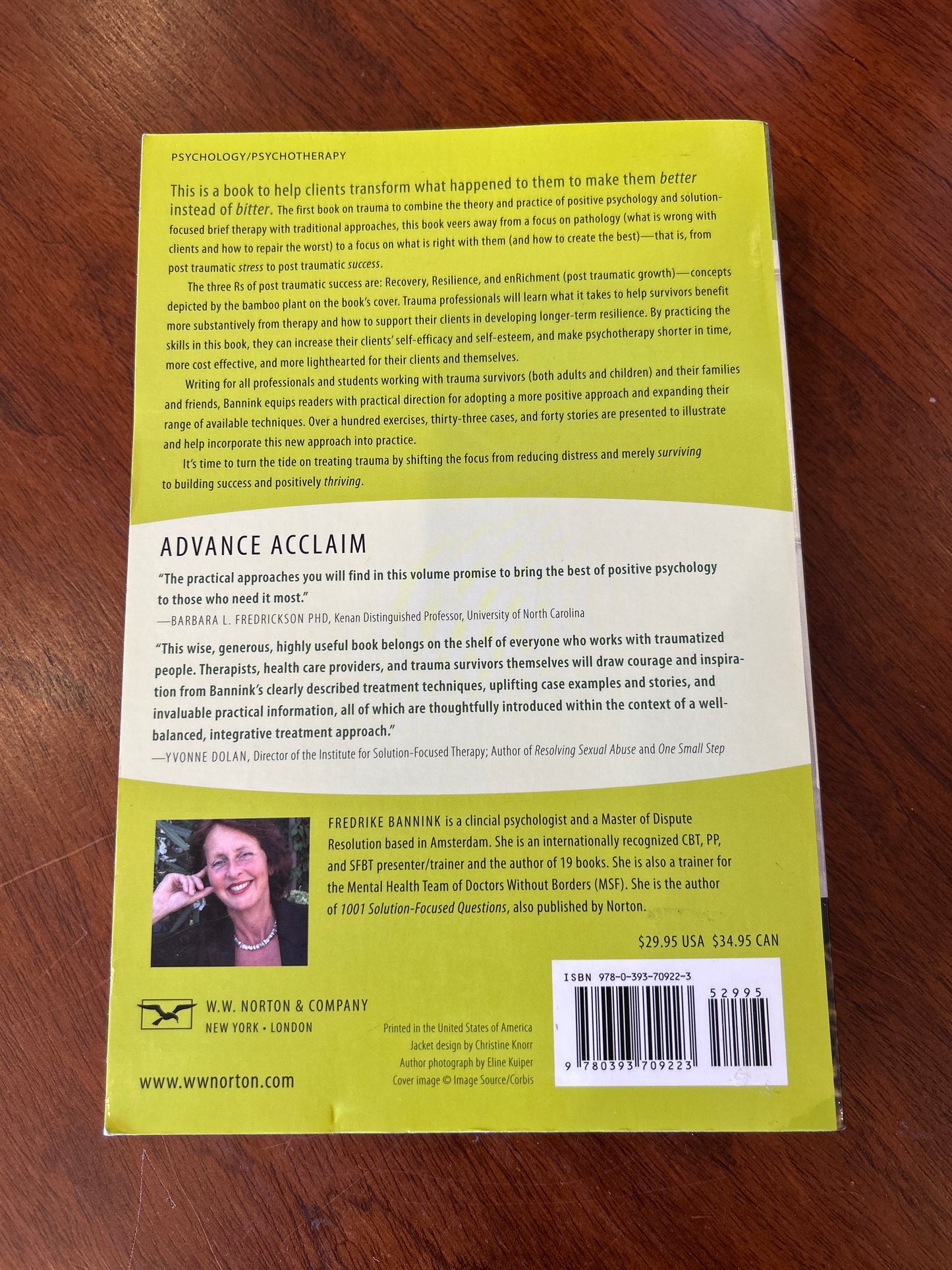 Post traumatic success: positive psychology & solution-focused strategies to help clients survive & thrive. Frederike Bannink. 2014.