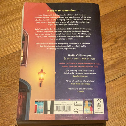 What happened that night? Sheila O’Flanagan. 2017.