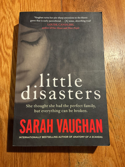 Little disasters. Sarah Vaughan. 2020.