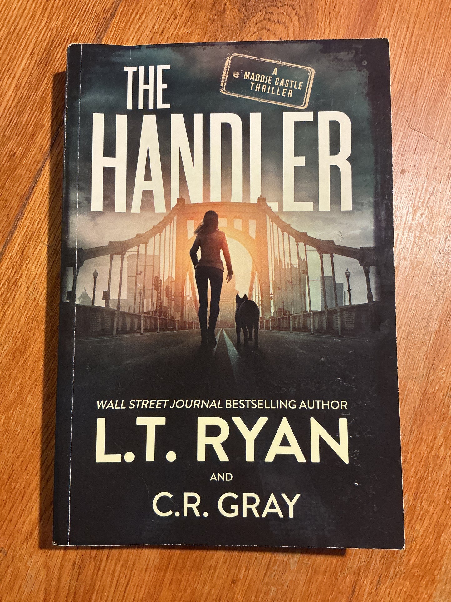 The Handler. L. T. Ryan and C. R. Gray. 2023.