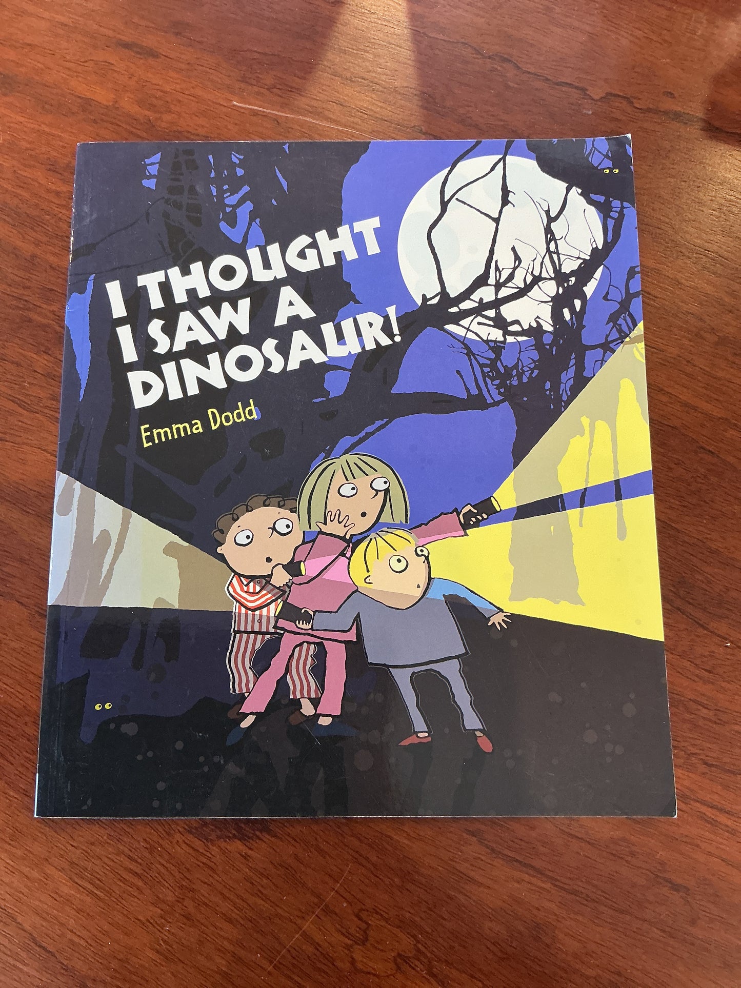 I thought I saw a dinosaur. Emma Dodd. 2007.