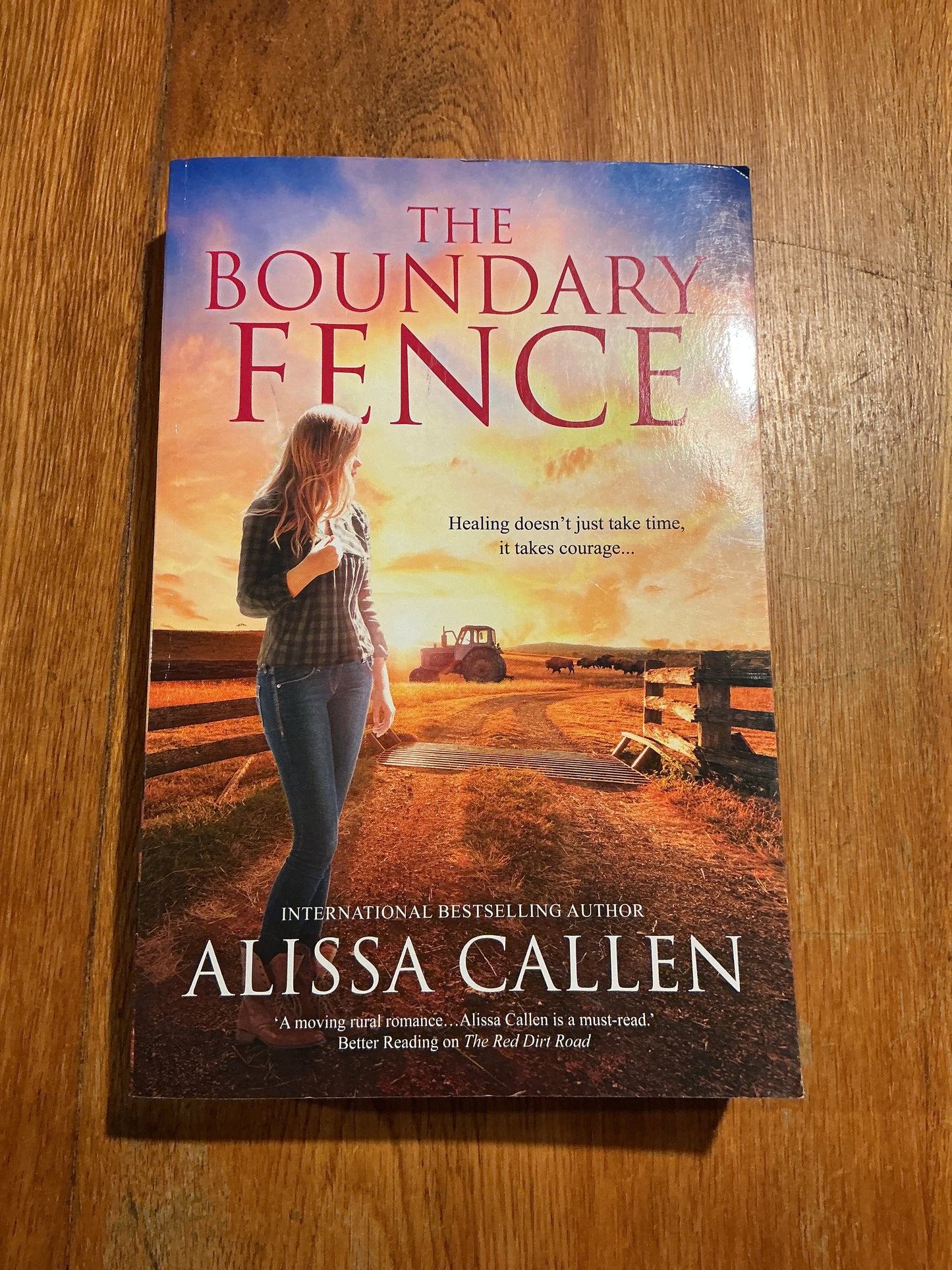 Boundary fence. Alissa Callen. 2020.