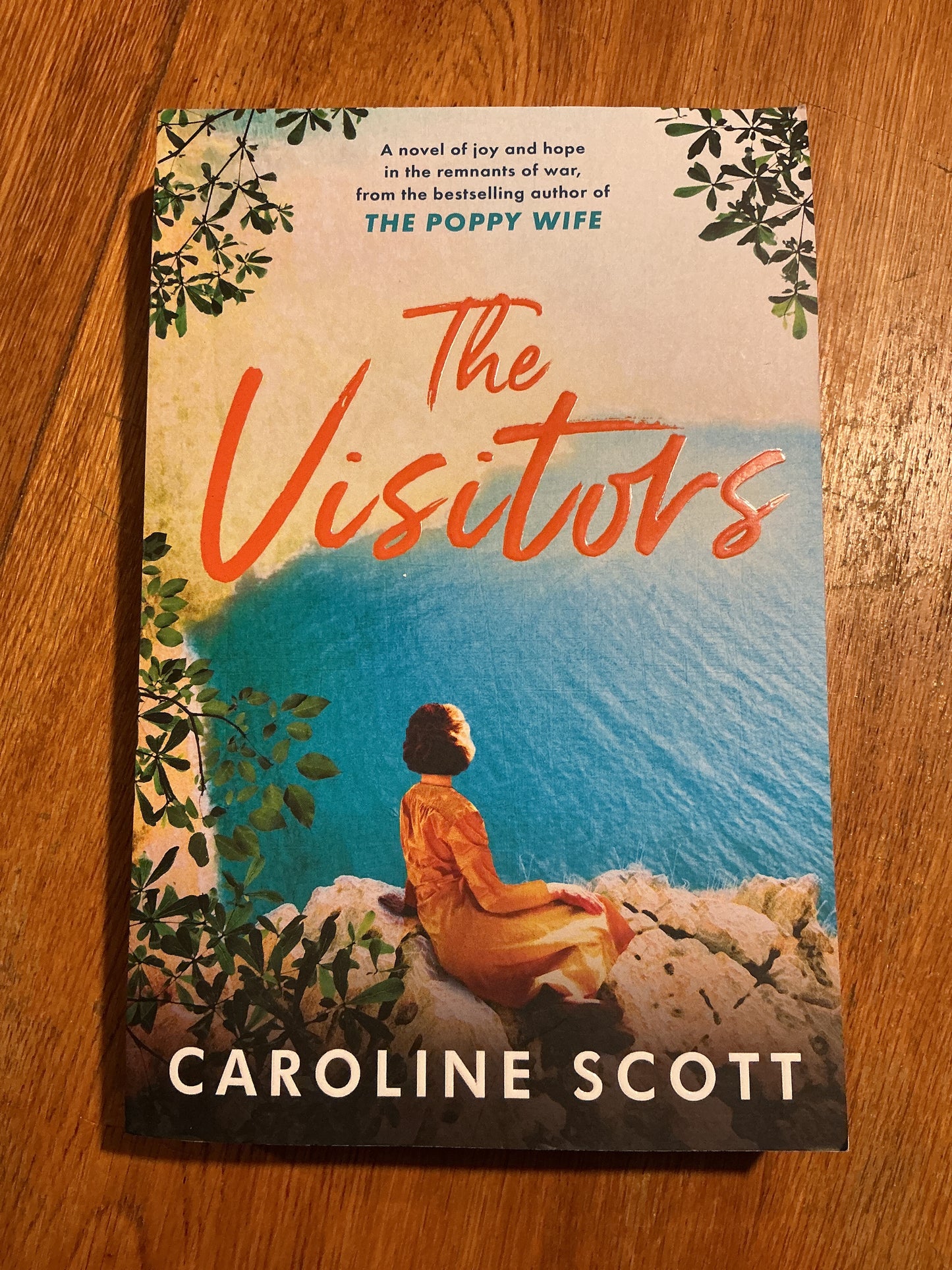 The Visitors. Caroline Scott. 2021.